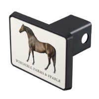 Elegant Vintage Horse Equestrian Trailer