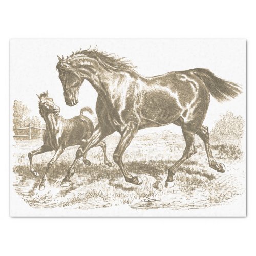 Elegant Vintage Horse Mare Foal Love Tissue Paper