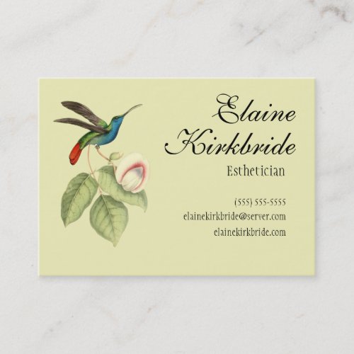 Elegant Vintage Hummingbird Salon Appointment Business Card