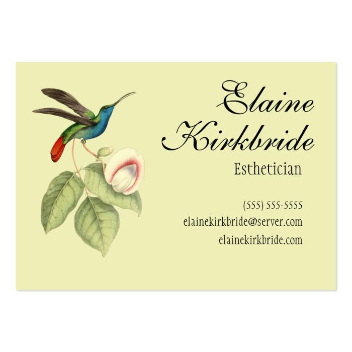 Elegant Vintage Hummingbird Salon Appointment Business Card