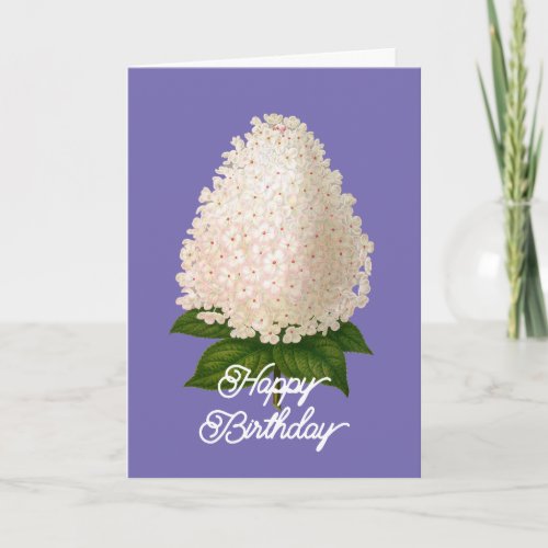 Elegant Vintage Hydrangea Paniculata Birthday