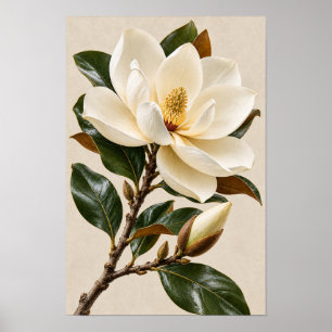 Elegant Vintage Magnolia Botanical Wall Art – Whit