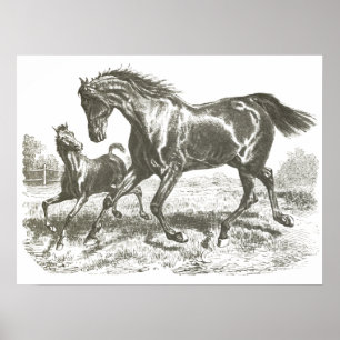Elegant Vintage Mother and Baby Horse Running Poster