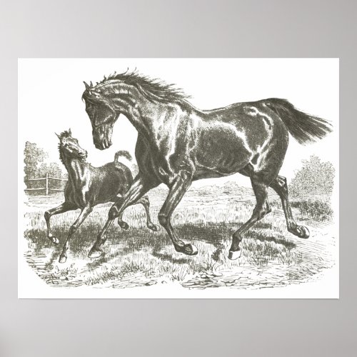 Elegant Vintage Mother and Baby Horse Running Poster
