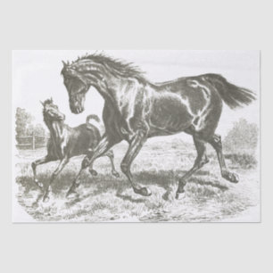 Elegant Vintage Mother and Baby Horse Running Tissue Paper