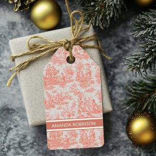 Elegant vintage orange toile de jouy gift tags