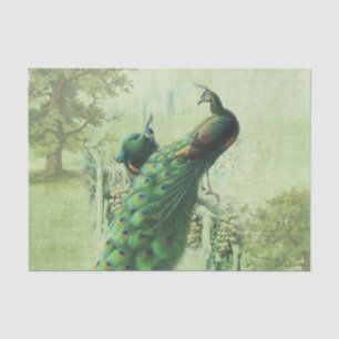 Elegant Vintage Peacock Tissue Paper