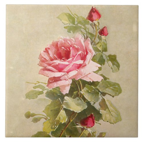 Elegant Vintage Pink Roses Ceramic Tile