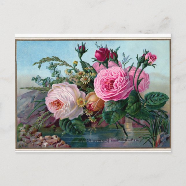 Elegant Vintage Pink Roses Postcard (Front)