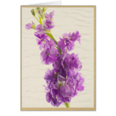 Elegant Vintage Purple Gillyflower Cards (Front)