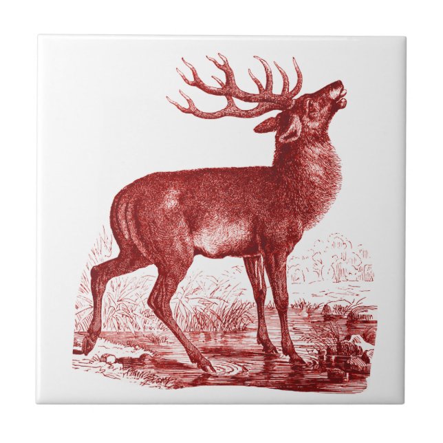 Elegant Vintage Red White Deer Ceramic Tile (Front)
