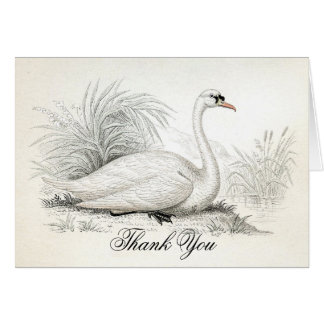 Swan Thank You Cards | Zazzle