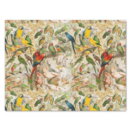 Elegant Vintage Tropical Birds Parrots Decoupage Tissue Paper