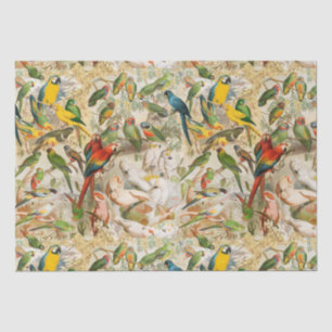 Elegant Vintage Tropical Birds Parrots Decoupage Tissue Paper