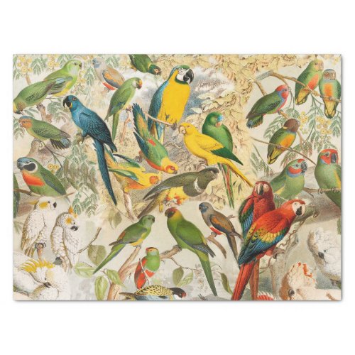 Elegant Vintage Tropical Birds Parrots Decoupage Tissue Paper