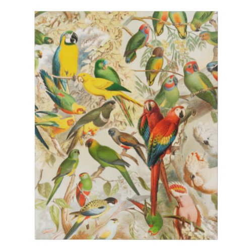 Elegant Vintage Tropical Birds Parrots Faux Canvas Print