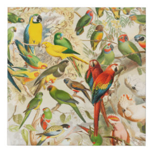 Elegant Vintage Tropical Birds Parrots Faux Canvas Print