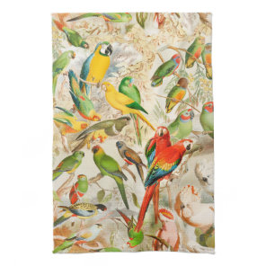 Elegant Vintage Tropical Birds Parrots Kitchen Towel