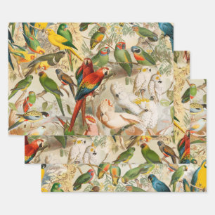 Elegant Vintage Tropical Birds Parrots Wrapping Paper Sheets