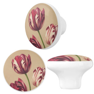 Elegant Vintage Tulip Art Floral Botanical Ceramic Knob