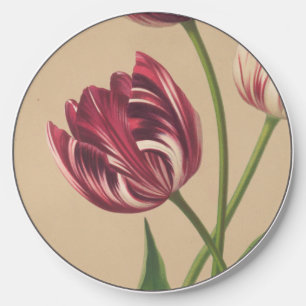Elegant Vintage Tulip Art Maroon and Beige Wireless Charger