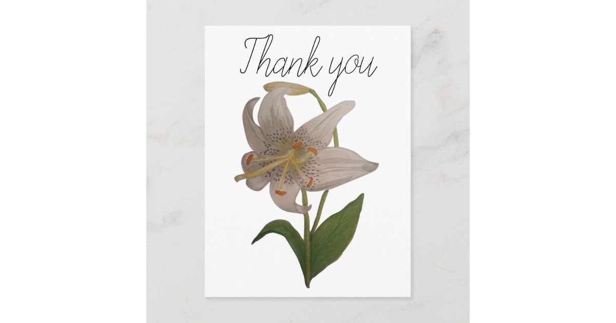 Elegant Vintage White Lily Flower Thank You Postcard | Zazzle