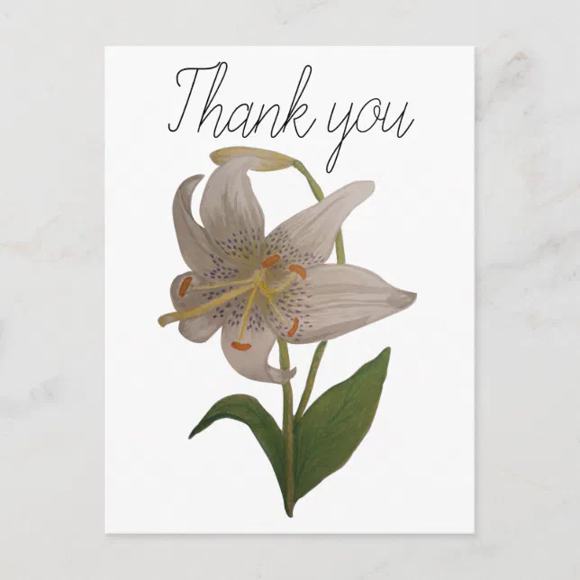Elegant Vintage White Lily Flower Thank You Postcard | Zazzle