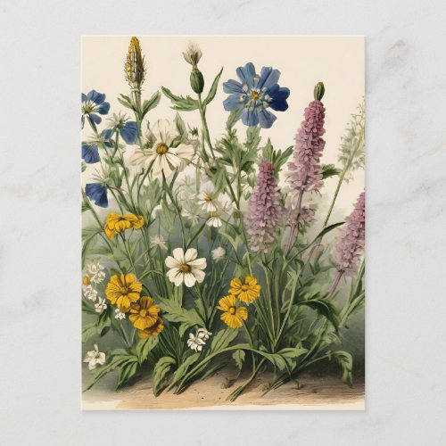 Elegant Vintage Wildflowers  Postcard