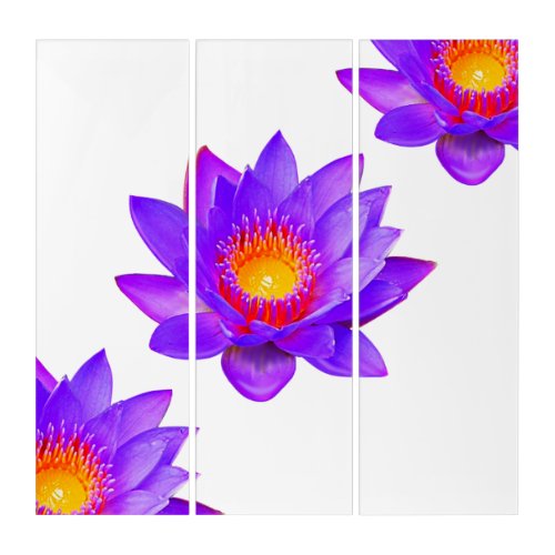 Elegant Violet Lotus Flowers on White Triptych