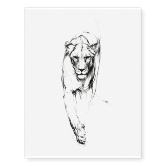 Elegant Walking Lioness Sketch Temporary Tattoos