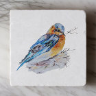 Elegant Watercolor Bluebird Nature