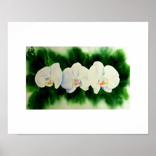Elegant watercolor Orchids green botanical   Poster