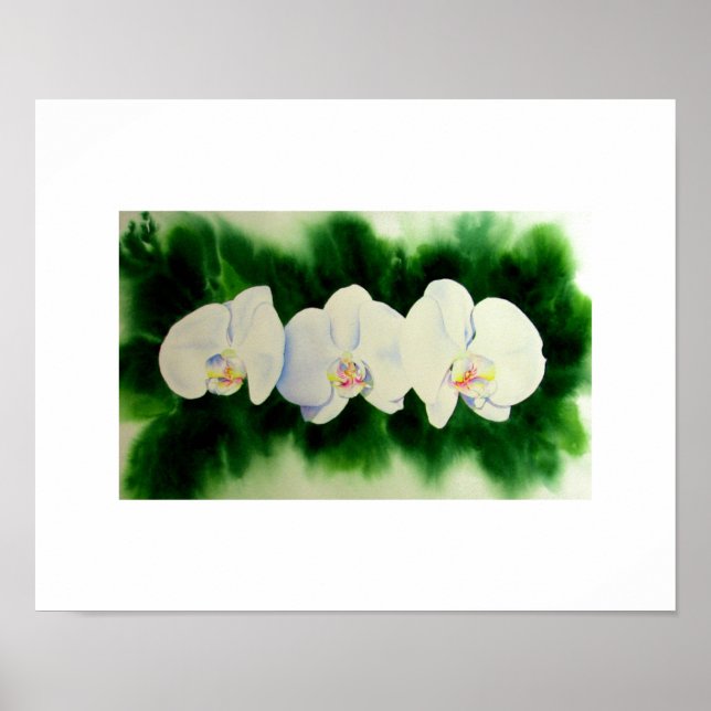 Elegant watercolor Orchids tropical white floral  Poster (Front)