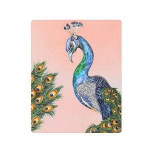 Elegant Watercolor Peacock Tropical Peach Metal Print