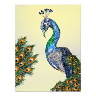 Elegant Watercolor Peacock Yellow Photo Print