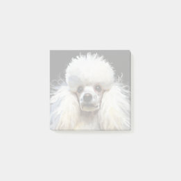 Elegant Watercolor Poodle Post-it Notes