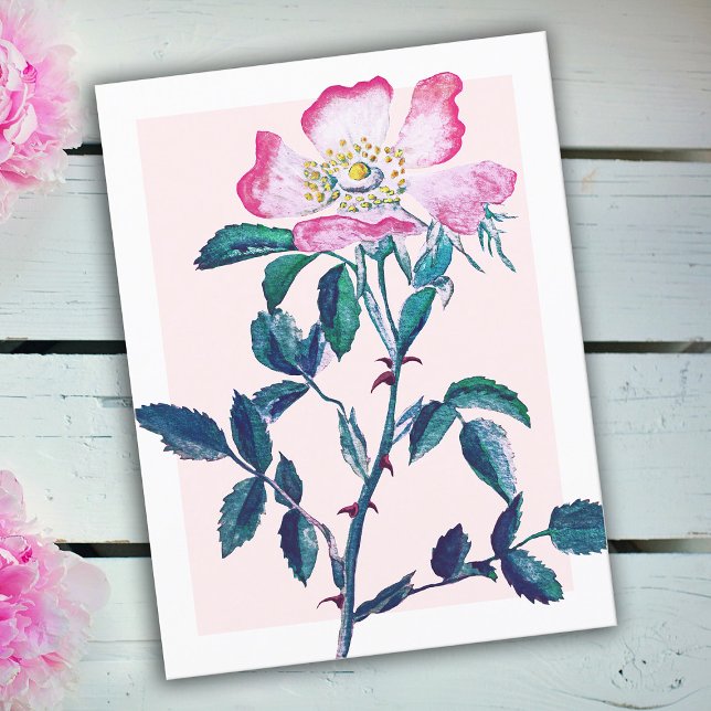 Elegant Watercolor Wild Rose Flower Mother's Day Postcard (Creator Uploaded)