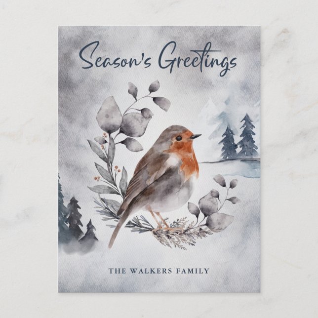 Elegant Watercolor Winter American Robin Postcard (Front)