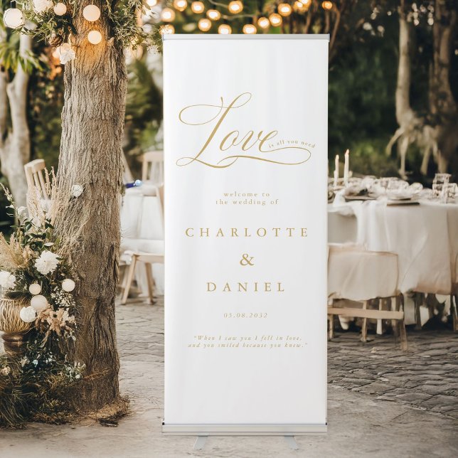  Elegant, Wedding Banner (Love is all you need! Modern, elegant, classic, handwriting font, white wedding banner. Personalized)