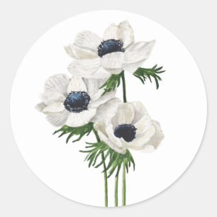 Elegant white anemone bouquet classic round sticker