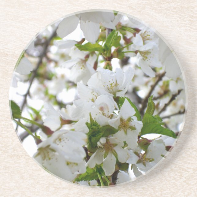 Elegant White Blossom white florals white flowers Drink Coaster (Front)