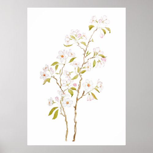 elegant white cherry blossom watercolor poster