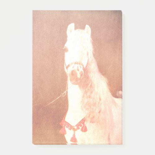 Elegant White Circus Pony Vintage Gypsy Style Post_it Notes