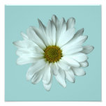 Elegant White Daisy Photo Print at Zazzle