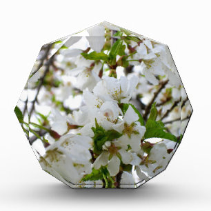 Elegant white floral blossom photo acrylic award