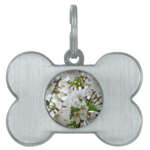 Elegant white floral blossom photo pet ID tag