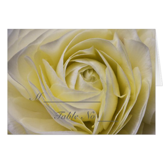 Elegant White Floral Place Setting Card