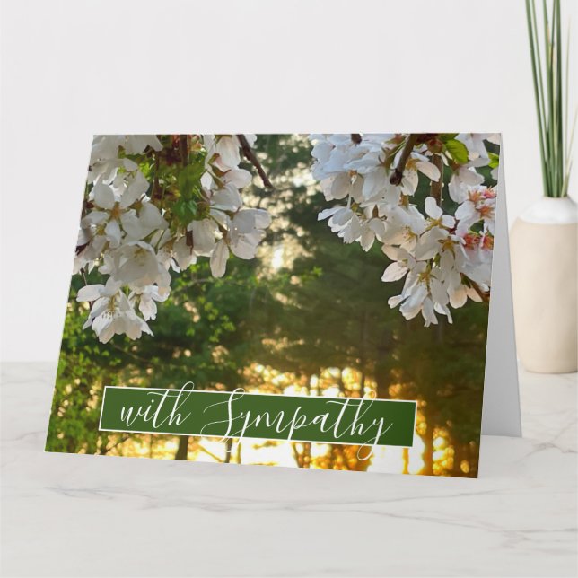 Elegant white floral tree buds sunrise  card (Front)