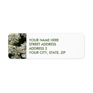 Elegant White Flowers Four-Line Address Labels