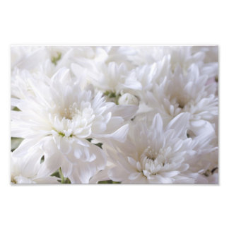 Elegant White flowers Photo Print